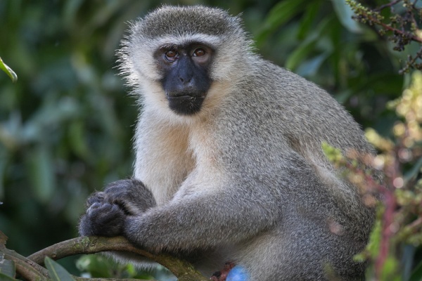 5 wild days of Queen Elizabeth and lake Mburo National Park