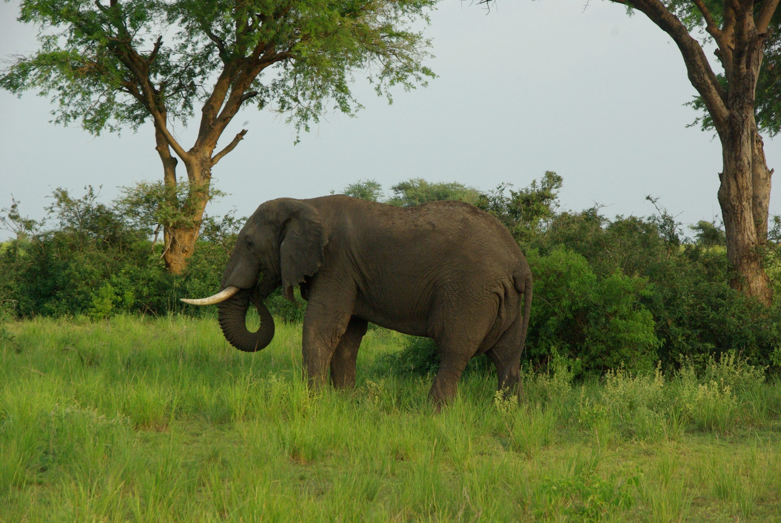 image_falls_of_murchison_in_uganda
