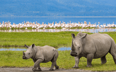 5-Day Kenya Express Safari