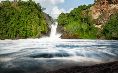 10-Day Uganda Wildlife and Gorilla Safari