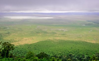 3-Day Tarangire, Ngorongoro and Lake Manyara Safari