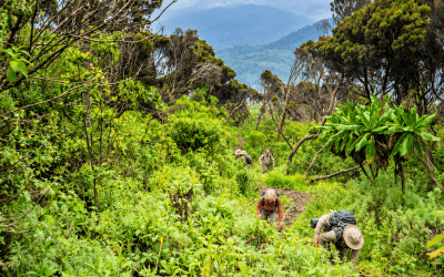 3-Day Mount Nyiragongo Hiking Experience