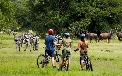 5-Day Queen Elizabeth and Lake Mburo Safari