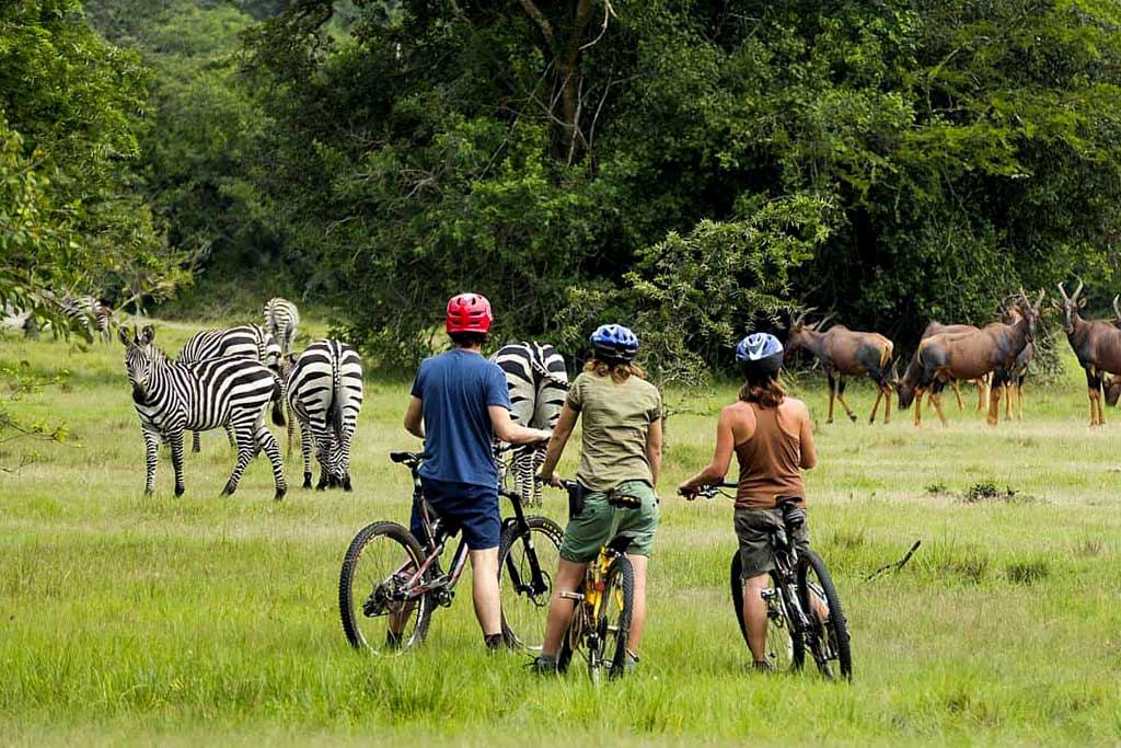 image_cycling_in_lake_mburo_national_park_uganda_native_expeditions