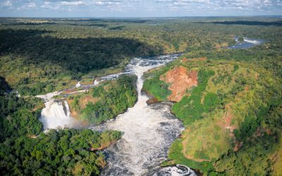 4-Day Murchison Falls Sport Fishing Safari